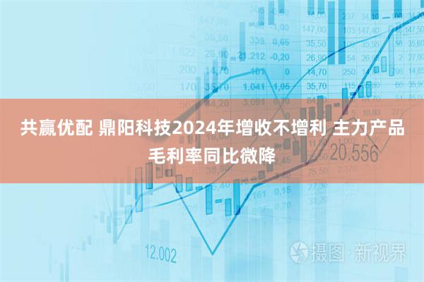 共赢优配 鼎阳科技2024年增收不增利 主力产品毛利率同比微降