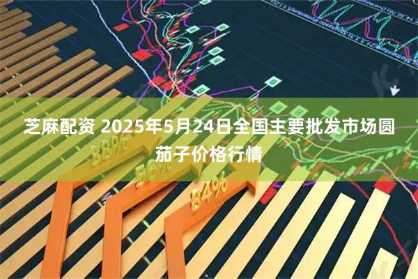 芝麻配资 2025年5月24日全国主要批发市场圆茄子价格行情