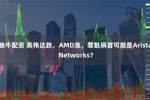 驰牛配资 英伟达跌，AMD涨，罪魁祸首可能是Arista Networks？
